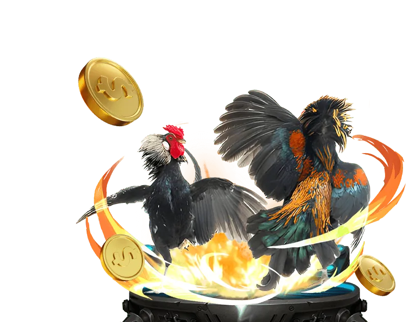 Bắt đầu quảng bá